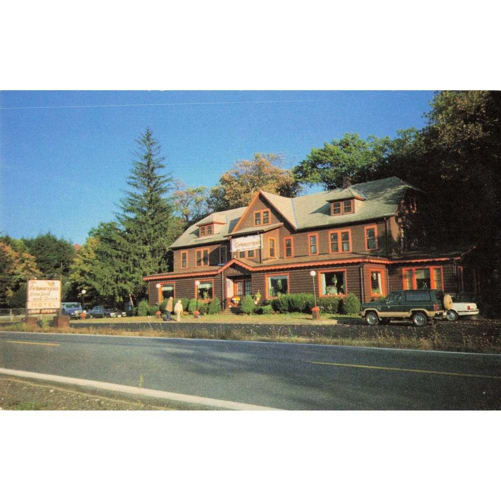 The Cornucopia Restaurant Motel Port Jervis New York NY Route 209 Chrome Postcar
